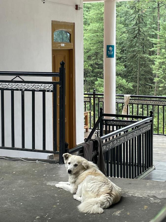 Wabi Sabi Riverside Hostel Kasol Eksteriør billede